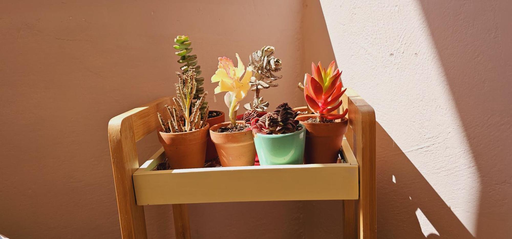 Appartement Nuci's Place 3, Cozy 1 Bedroom With Balcony Near Bllok Tirana